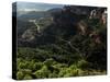 View Across the Limestone Ravine Beaneath the Medieval Village of Siurana, Catalonia, Spain-David Pickford-Stretched Canvas