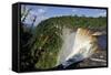 View across the Rim of Kaieteur Falls, Guyana, South America-Mick Baines & Maren Reichelt-Framed Stretched Canvas