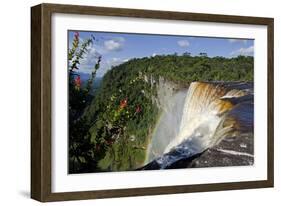 View across the Rim of Kaieteur Falls, Guyana, South America-Mick Baines & Maren Reichelt-Framed Photographic Print