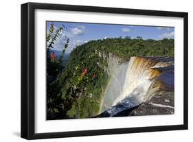 View across the Rim of Kaieteur Falls, Guyana, South America-Mick Baines & Maren Reichelt-Framed Photographic Print