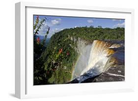 View across the Rim of Kaieteur Falls, Guyana, South America-Mick Baines & Maren Reichelt-Framed Photographic Print