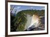 View across the Rim of Kaieteur Falls, Guyana, South America-Mick Baines & Maren Reichelt-Framed Photographic Print