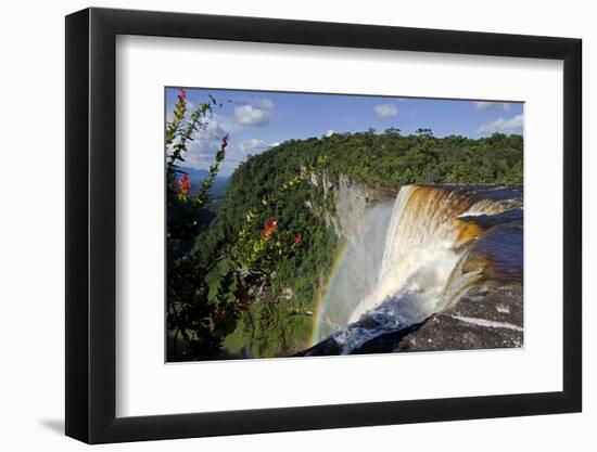 View across the Rim of Kaieteur Falls, Guyana, South America-Mick Baines & Maren Reichelt-Framed Photographic Print