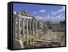 View Across the Roman Forum, Rome, Lazio, Italy, Europe-John Miller-Framed Stretched Canvas