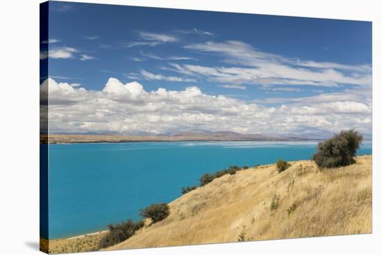 View across the turquoise waters of Lake Pukaki, near Twizel, Mackenzie district, Canterbury, South-Ruth Tomlinson-Stretched Canvas