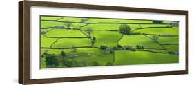 View across the Yorkshire Dales Near Reeth in Swaledale, Yorkshire-John Woodworth-Framed Photographic Print