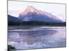 View Across Vermilion Lakes to Mount Rundle, at Sunset, Banff National Park, Alberta, Canada-Ruth Tomlinson-Mounted Photographic Print