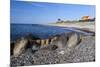 View Along Beach, Gammel Skagen, Jutland, Denmark, Scandinavia, Europe-Stuart Black-Mounted Photographic Print