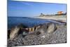 View Along Beach, Gammel Skagen, Jutland, Denmark, Scandinavia, Europe-Stuart Black-Mounted Photographic Print