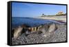 View Along Beach, Gammel Skagen, Jutland, Denmark, Scandinavia, Europe-Stuart Black-Framed Stretched Canvas