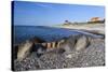View Along Beach, Gammel Skagen, Jutland, Denmark, Scandinavia, Europe-Stuart Black-Stretched Canvas