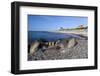 View Along Beach, Gammel Skagen, Jutland, Denmark, Scandinavia, Europe-Stuart Black-Framed Photographic Print