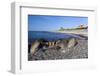 View Along Beach, Gammel Skagen, Jutland, Denmark, Scandinavia, Europe-Stuart Black-Framed Photographic Print