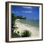 View Along Beach to the Medina from the Sindbad Hotel, Hammamet, Cap Bon, Tunisia, North Africa, Af-Stuart Black-Framed Photographic Print