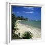 View Along Beach to the Medina from the Sindbad Hotel, Hammamet, Cap Bon, Tunisia, North Africa, Af-Stuart Black-Framed Photographic Print