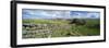 View Along Hadrian's Wall from Hotbank Crags, Near Hexham, Northumberland, England, UK-Lee Frost-Framed Photographic Print