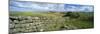 View Along Hadrian's Wall from Hotbank Crags, Near Hexham, Northumberland, England, UK-Lee Frost-Mounted Photographic Print