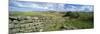 View Along Hadrian's Wall from Hotbank Crags, Near Hexham, Northumberland, England, UK-Lee Frost-Mounted Photographic Print
