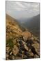 View Along Kirkstone Pass. Lake District National Park, Cumbria, September 2011-Peter Cairns-Mounted Photographic Print