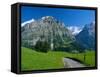 View Along Path Through Fields to the Schreckhorn and Fiescherhorner, Swiss Alps, Switzerland-Ruth Tomlinson-Framed Stretched Canvas