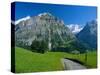 View Along Path Through Fields to the Schreckhorn and Fiescherhorner, Swiss Alps, Switzerland-Ruth Tomlinson-Stretched Canvas