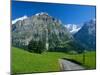 View Along Path Through Fields to the Schreckhorn and Fiescherhorner, Swiss Alps, Switzerland-Ruth Tomlinson-Mounted Photographic Print