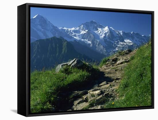 View Along Path to Snow Covered Summit of the Jungfrau, Schynige Platte, Bern, Switzerland-Tomlinson Ruth-Framed Stretched Canvas