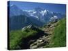 View Along Path to Snow Covered Summit of the Jungfrau, Schynige Platte, Bern, Switzerland-Tomlinson Ruth-Stretched Canvas