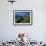 View Along Path to Snow Covered Summit of the Jungfrau, Schynige Platte, Bern, Switzerland-Tomlinson Ruth-Framed Photographic Print displayed on a wall