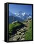 View Along Path to Snow Covered Summit of the Jungfrau, Schynige Platte, Bern, Switzerland-Tomlinson Ruth-Framed Stretched Canvas