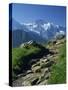 View Along Path to Snow Covered Summit of the Jungfrau, Schynige Platte, Bern, Switzerland-Tomlinson Ruth-Stretched Canvas