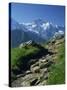 View Along Path to Snow Covered Summit of the Jungfrau, Schynige Platte, Bern, Switzerland-Tomlinson Ruth-Stretched Canvas