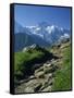 View Along Path to Snow Covered Summit of the Jungfrau, Schynige Platte, Bern, Switzerland-Tomlinson Ruth-Framed Stretched Canvas