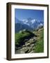 View Along Path to Snow Covered Summit of the Jungfrau, Schynige Platte, Bern, Switzerland-Tomlinson Ruth-Framed Photographic Print