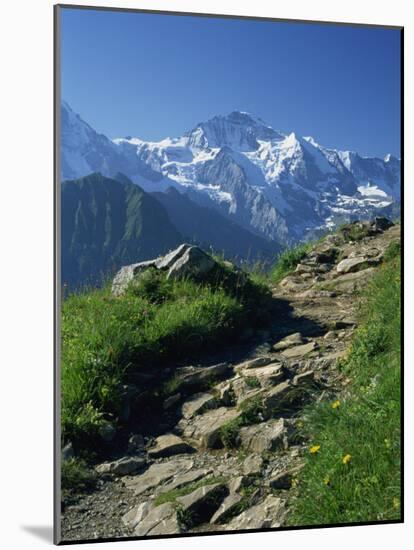 View Along Path to Snow Covered Summit of the Jungfrau, Schynige Platte, Bern, Switzerland-Tomlinson Ruth-Mounted Photographic Print