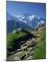 View Along Path to Snow Covered Summit of the Jungfrau, Schynige Platte, Bern, Switzerland-Tomlinson Ruth-Mounted Photographic Print