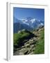 View Along Path to Snow Covered Summit of the Jungfrau, Schynige Platte, Bern, Switzerland-Tomlinson Ruth-Framed Photographic Print