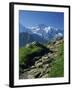 View Along Path to Snow Covered Summit of the Jungfrau, Schynige Platte, Bern, Switzerland-Tomlinson Ruth-Framed Photographic Print