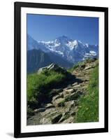 View Along Path to Snow Covered Summit of the Jungfrau, Schynige Platte, Bern, Switzerland-Tomlinson Ruth-Framed Photographic Print