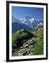 View Along Path to Snow Covered Summit of the Jungfrau, Schynige Platte, Bern, Switzerland-Tomlinson Ruth-Framed Photographic Print