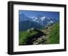 View Along Path to Snow Covered Summit of the Jungfrau, Schynige Platte, Bern, Switzerland-Tomlinson Ruth-Framed Photographic Print