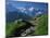 View Along Path to Snow Covered Summit of the Jungfrau, Schynige Platte, Bern, Switzerland-Tomlinson Ruth-Mounted Photographic Print