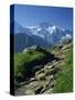 View Along Path to Snow Covered Summit of the Jungfrau, Schynige Platte, Bern, Switzerland-Tomlinson Ruth-Stretched Canvas