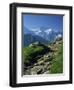 View Along Path to Snow Covered Summit of the Jungfrau, Schynige Platte, Bern, Switzerland-Tomlinson Ruth-Framed Premium Photographic Print