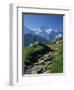 View Along Path to Snow Covered Summit of the Jungfrau, Schynige Platte, Bern, Switzerland-Tomlinson Ruth-Framed Premium Photographic Print