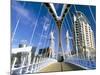 View Along Pedestrian Suspension Bridge at Salford Quays, Salford, Manchester, England-Lee Frost-Mounted Photographic Print