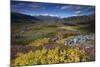 View Along Rapadalen Valley from Nammatj Towards Lulep Spadnek, Sarek Np, Lapland, Sweden-Cairns-Mounted Photographic Print