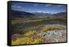 View Along Rapadalen Valley, Sarek National Park, Laponia World Heritage Site, Lapland, Sweden-Cairns-Framed Stretched Canvas