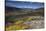 View Along Rapadalen Valley, Sarek National Park, Laponia World Heritage Site, Lapland, Sweden-Cairns-Stretched Canvas