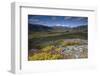 View Along Rapadalen Valley, Sarek National Park, Laponia World Heritage Site, Lapland, Sweden-Cairns-Framed Photographic Print